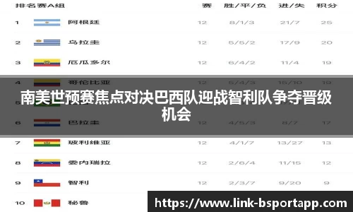 B体育