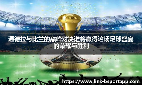 B体育官方